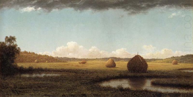 Martin Johnson Heade Summer Showers china oil painting image